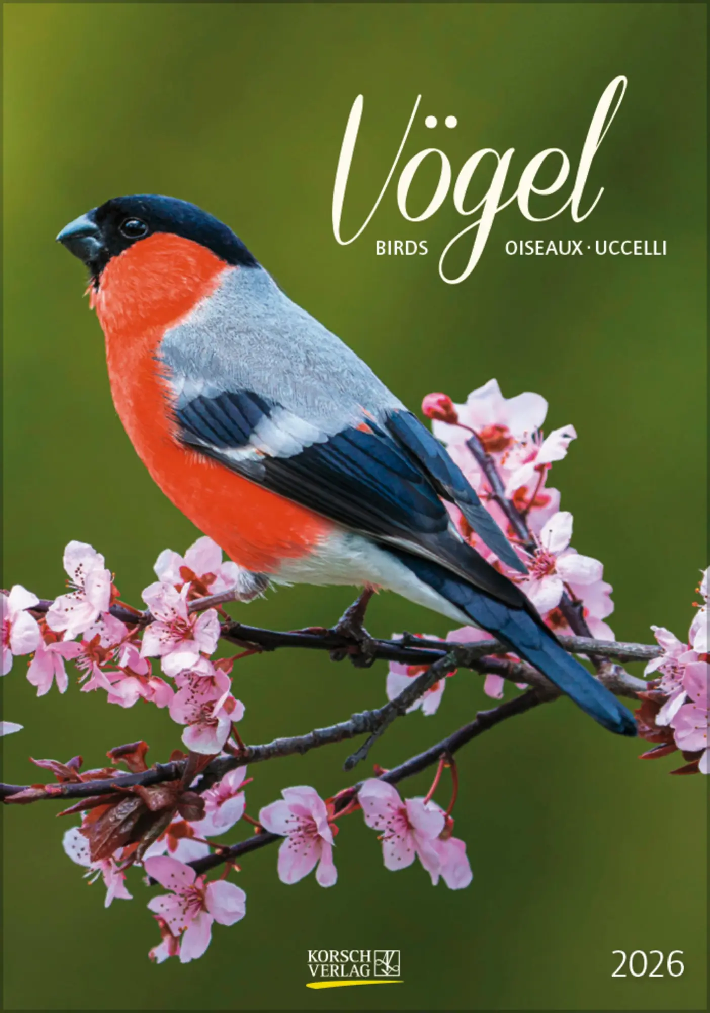 Cover: 9783731883647 | Vögel 2026 | Verlag Korsch | Kalender | Spiralbindung | 13 S. | 2026