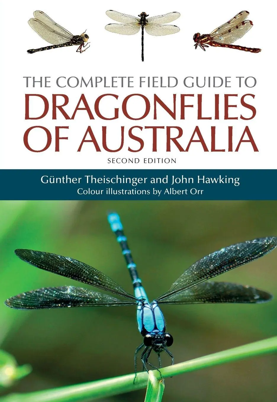Cover: 9781486313747 | The Complete Field Guide to Dragonflies of Australia | Taschenbuch