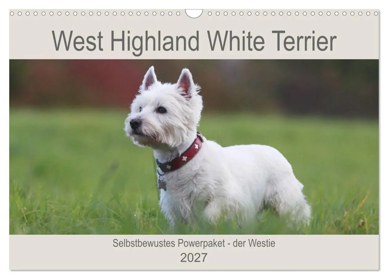 Cover: 9783569823747 | West Highland White Terrier - Selbstbewustes Powerpaket - der...