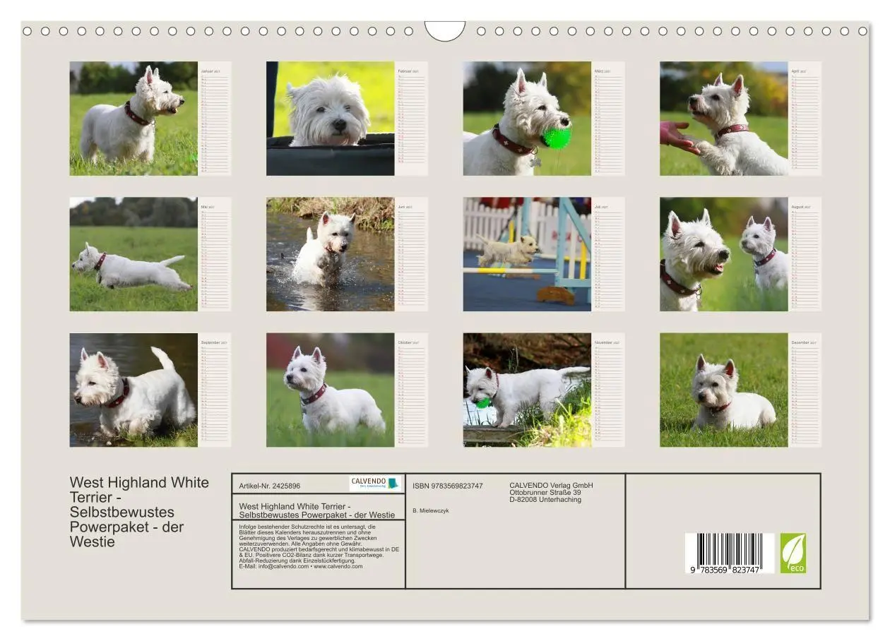 Bild: 9783569823747 | West Highland White Terrier - Selbstbewustes Powerpaket - der...