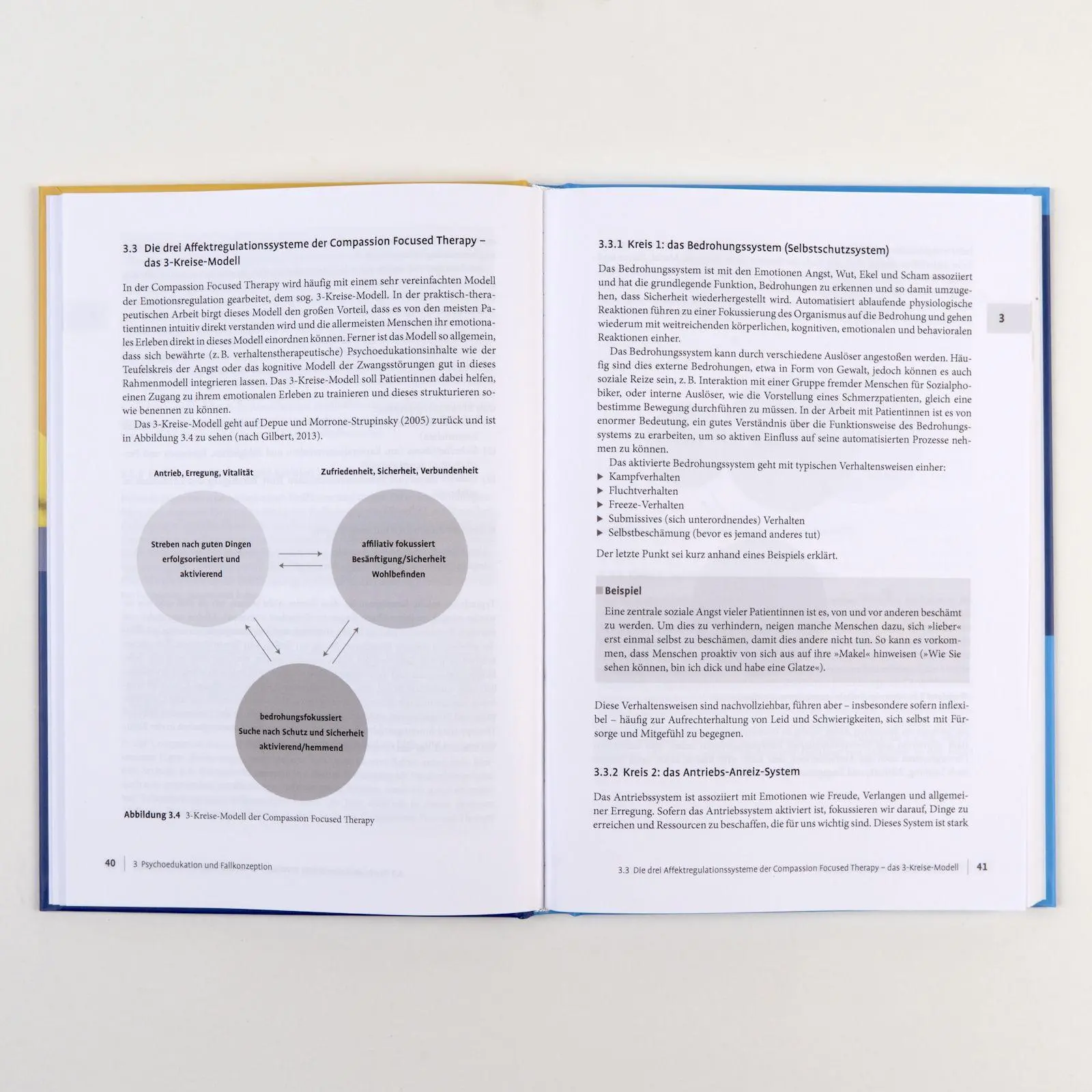 Bild: 9783621293747 | Compassion Focused Therapy in der Praxis | Mit Online-Material | 2025