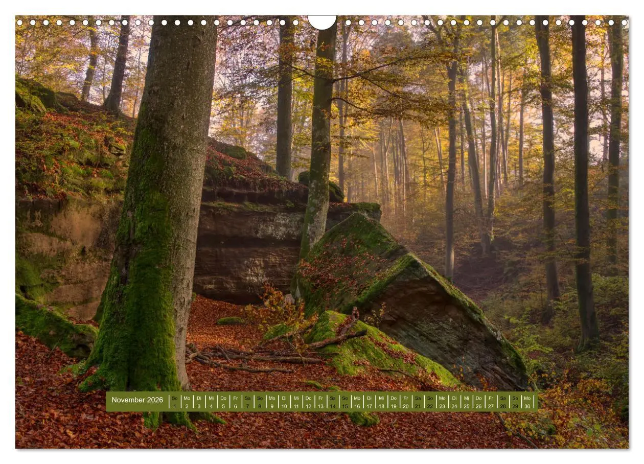 Bild: 9783457563847 | Magischer Pfälzer Wald (Wandkalender 2026 DIN A3 quer), CALVENDO...