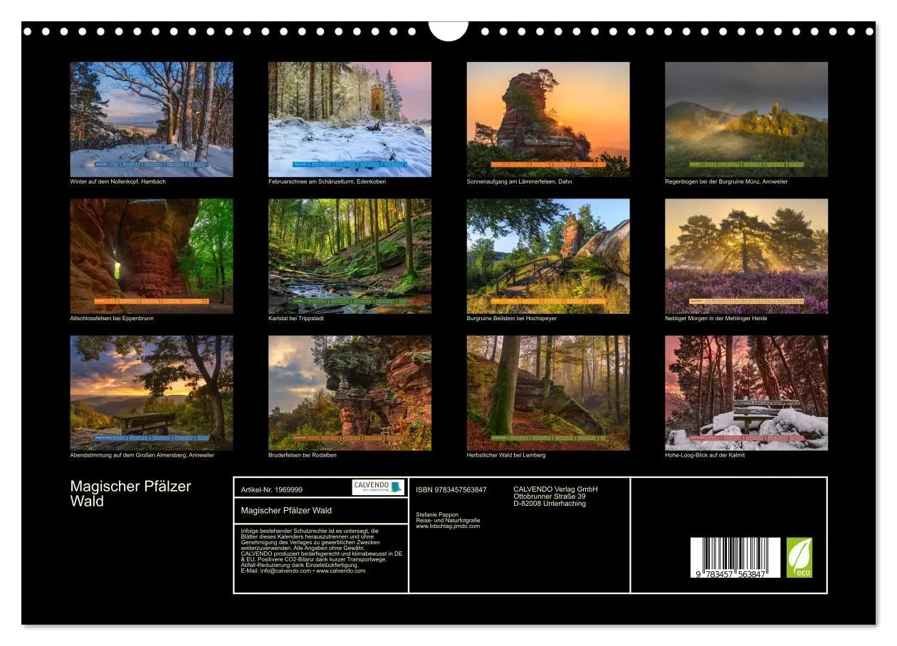 Bild: 9783457563847 | Magischer Pfälzer Wald (Wandkalender 2026 DIN A3 quer), CALVENDO...