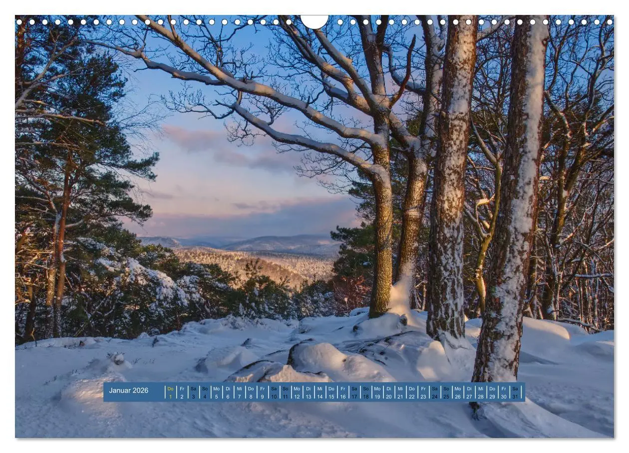 Bild: 9783457563847 | Magischer Pfälzer Wald (Wandkalender 2026 DIN A3 quer), CALVENDO...