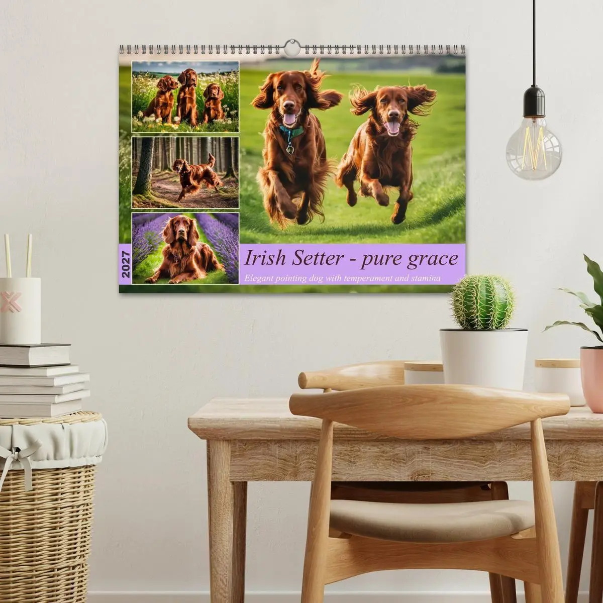 Bild: 9783569123847 | Irish Setter - pure grace (Wall Calendar 2027 DIN A3 landscape),...
