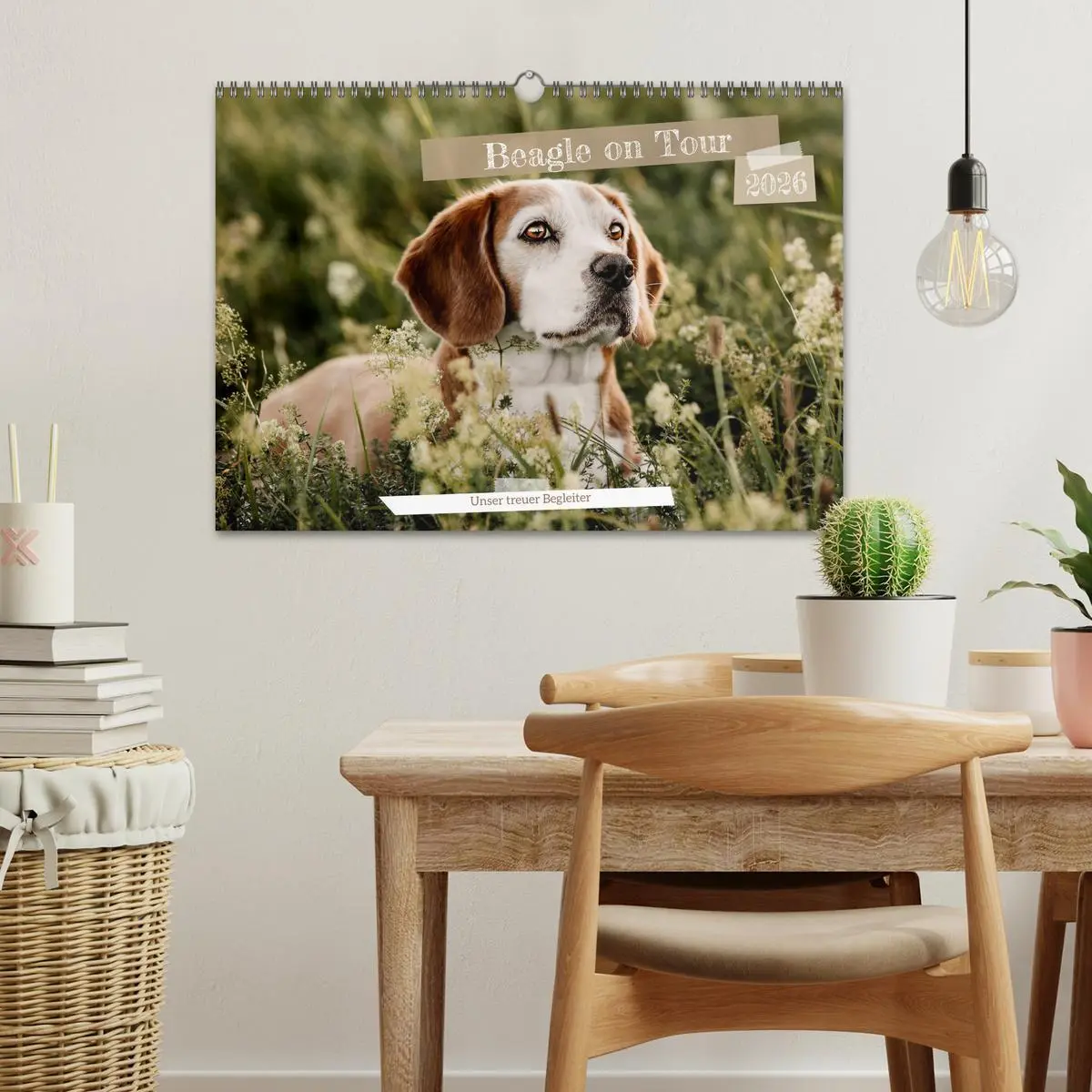 Bild: 9783457553947 | Beagle - Unser treuer Begleiter (Wandkalender 2026 DIN A3 quer),...