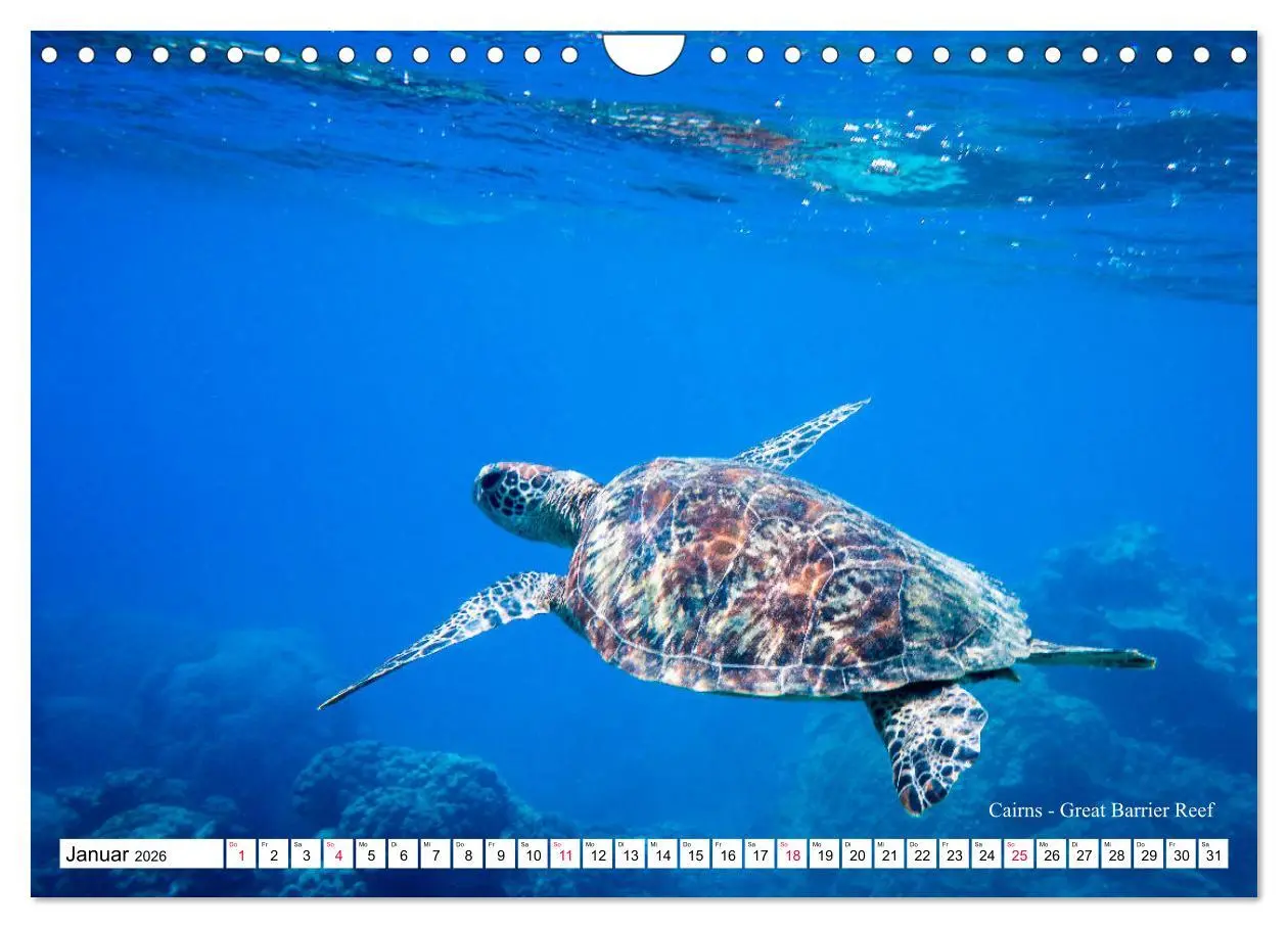 Bild: 9783457793947 | Australien Ostküste - von Cairns nach Sydney (Wandkalender 2026 DIN...