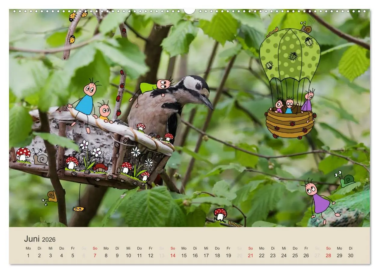 Bild: 9783516023947 | Das Leben der kleinen Pankies (Wandkalender 2026 DIN A2 quer),...