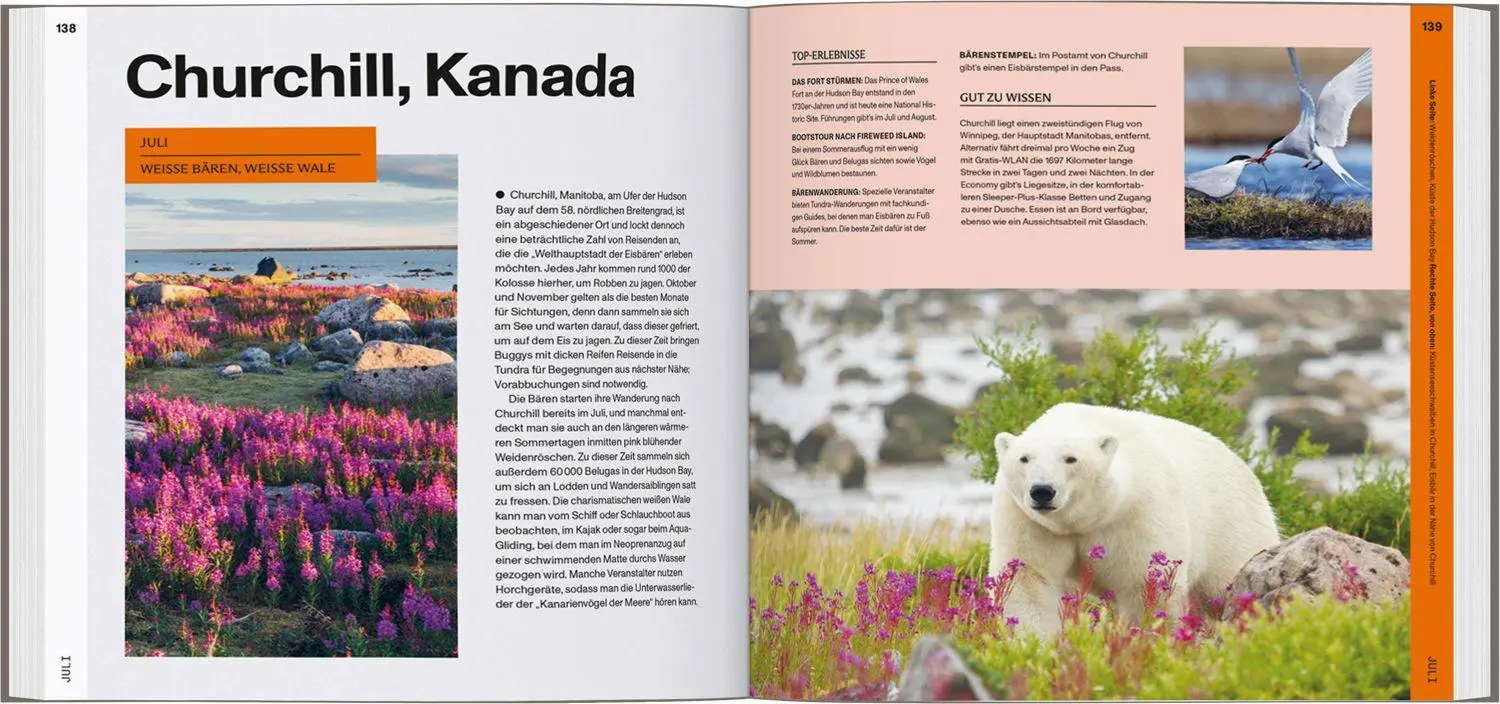 Bild: 9783575014047 | LONELY PLANET Bildband Offseason | LONELY PLANET Deutschland | Buch