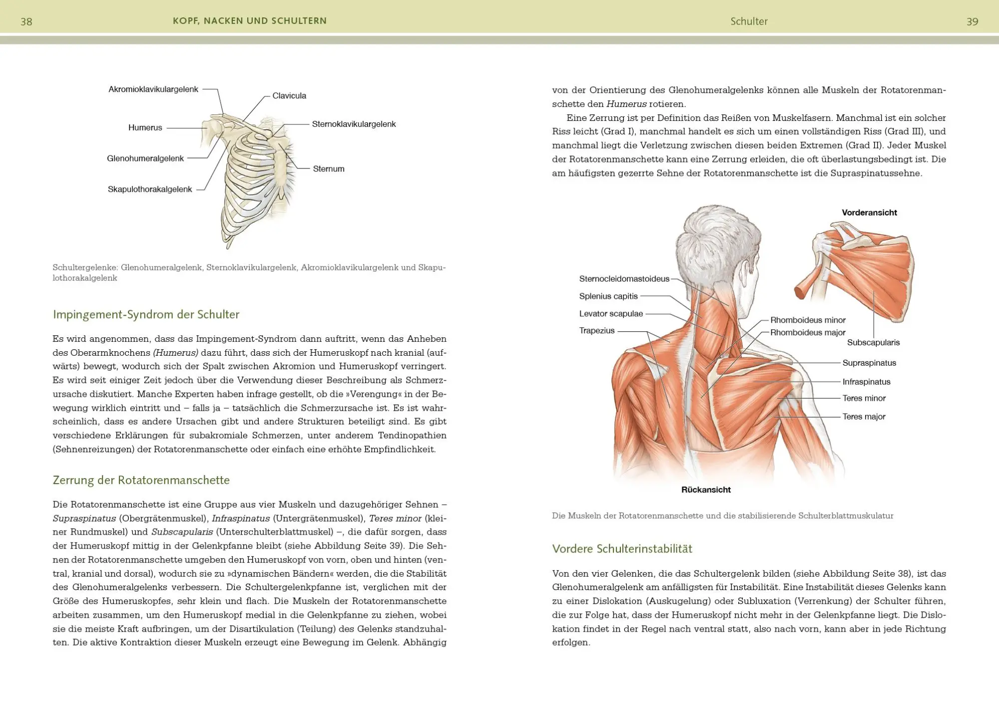 Bild: 9783742324047 | Prävention von Sportverletzungen - Anatomie | David Potach (u. a.)