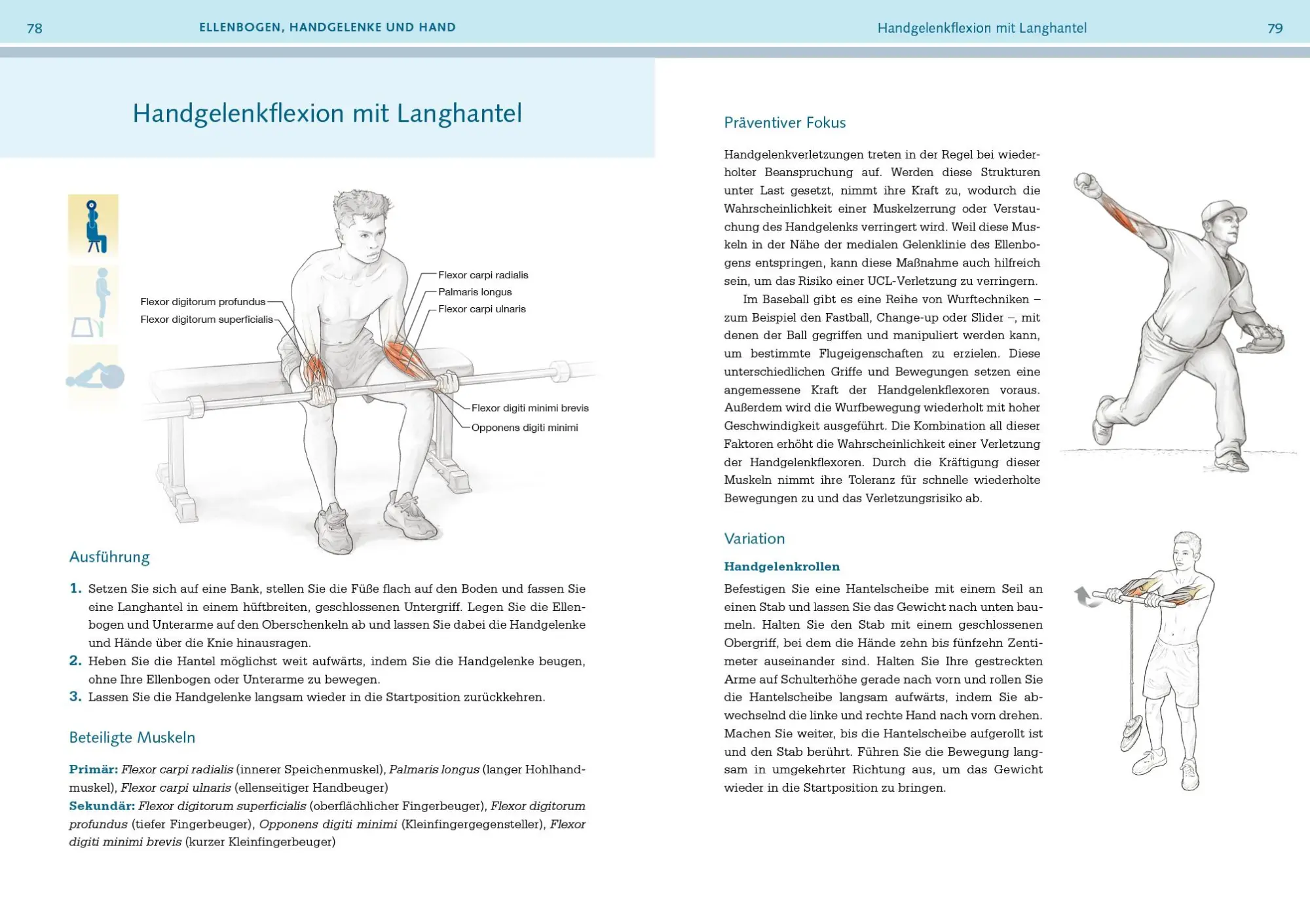 Bild: 9783742324047 | Prävention von Sportverletzungen - Anatomie | David Potach (u. a.)