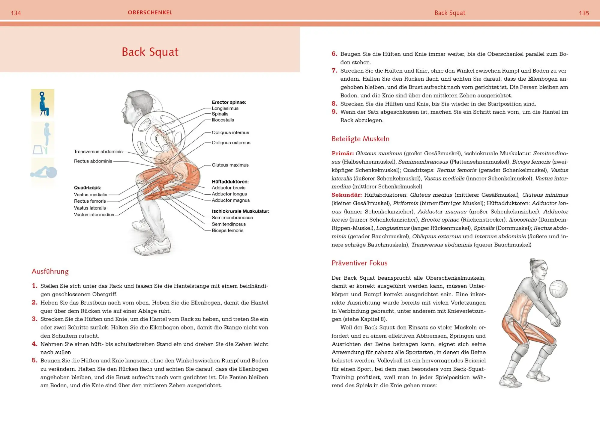 Bild: 9783742324047 | Prävention von Sportverletzungen - Anatomie | David Potach (u. a.)