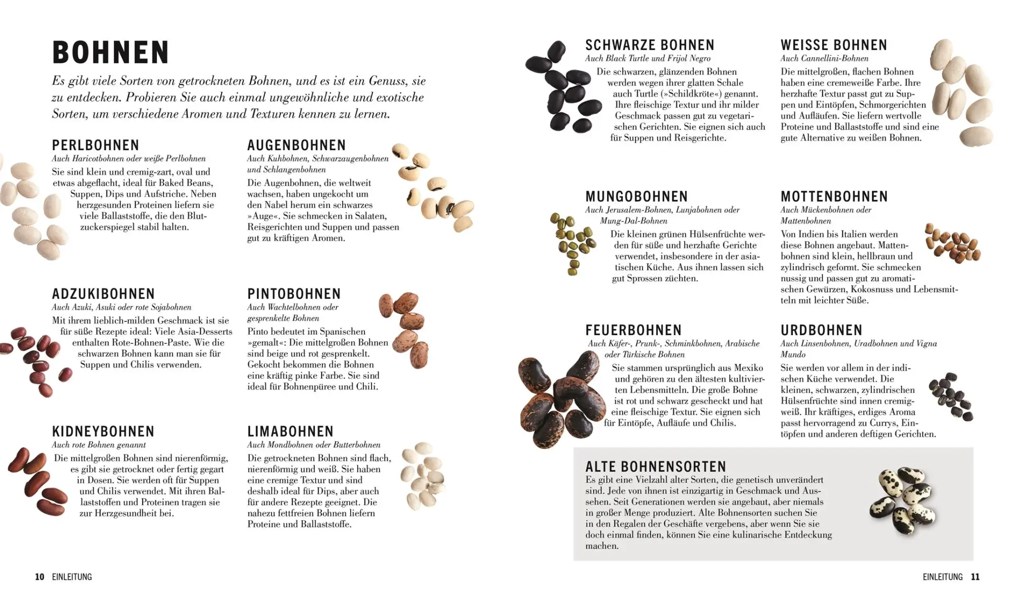 Bild: 9783831044047 | Linsen, Bohnen, Erbsen und Co.: Das Hülsenfrüchte-Kochbuch | Buch