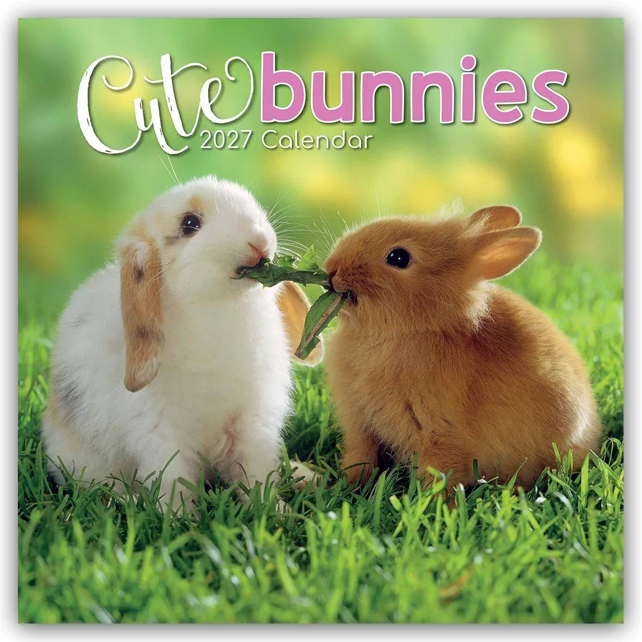 Cover: 9781805974147 | Cute Bunnies - Niedliche Kaninchen 2027 - 16-Monatskalender | Ltd