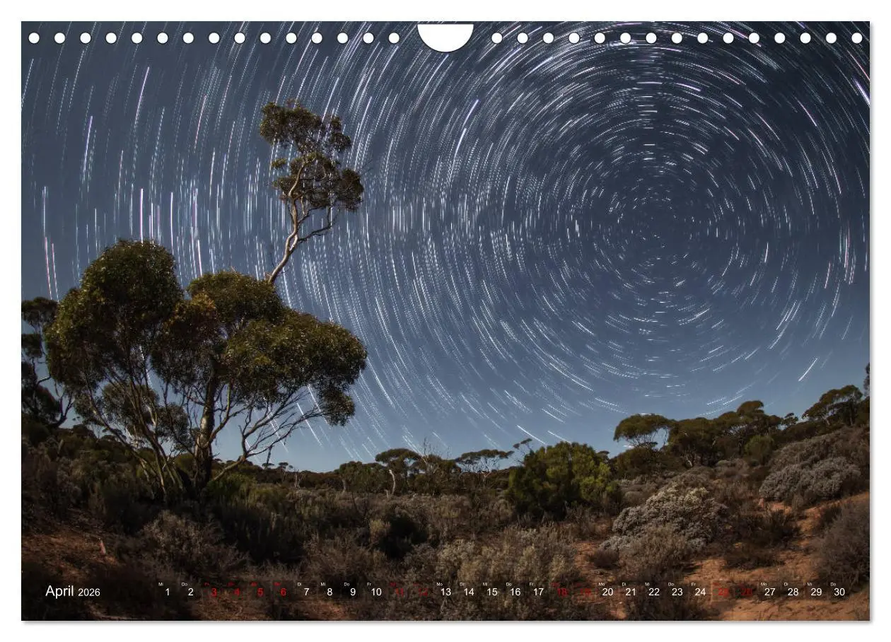 Bild: 9783457744147 | Das wilde Australien (Wandkalender 2026 DIN A4 quer), CALVENDO...