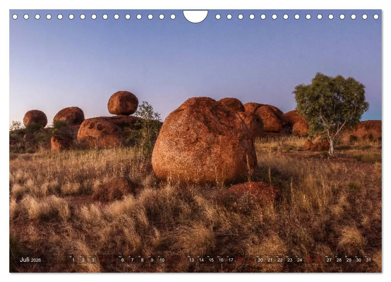 Bild: 9783457744147 | Das wilde Australien (Wandkalender 2026 DIN A4 quer), CALVENDO...