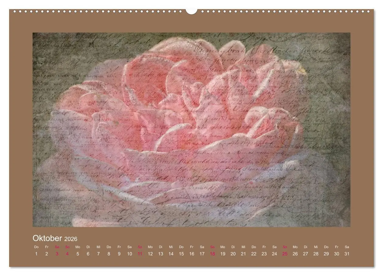 Bild: 9783516144147 | Romantische Rosen (Wandkalender 2026 DIN A2 quer), CALVENDO...