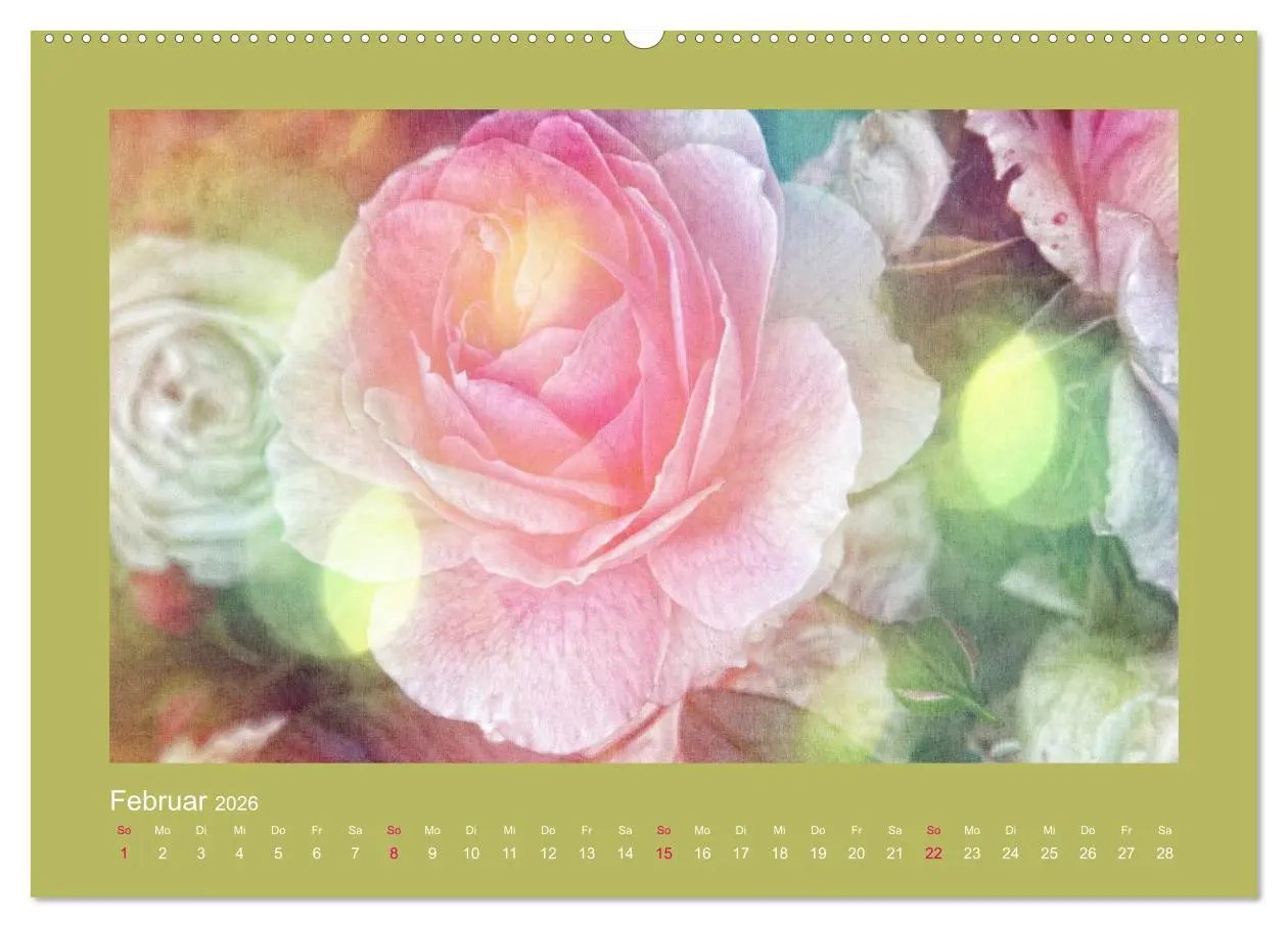 Bild: 9783516144147 | Romantische Rosen (Wandkalender 2026 DIN A2 quer), CALVENDO...
