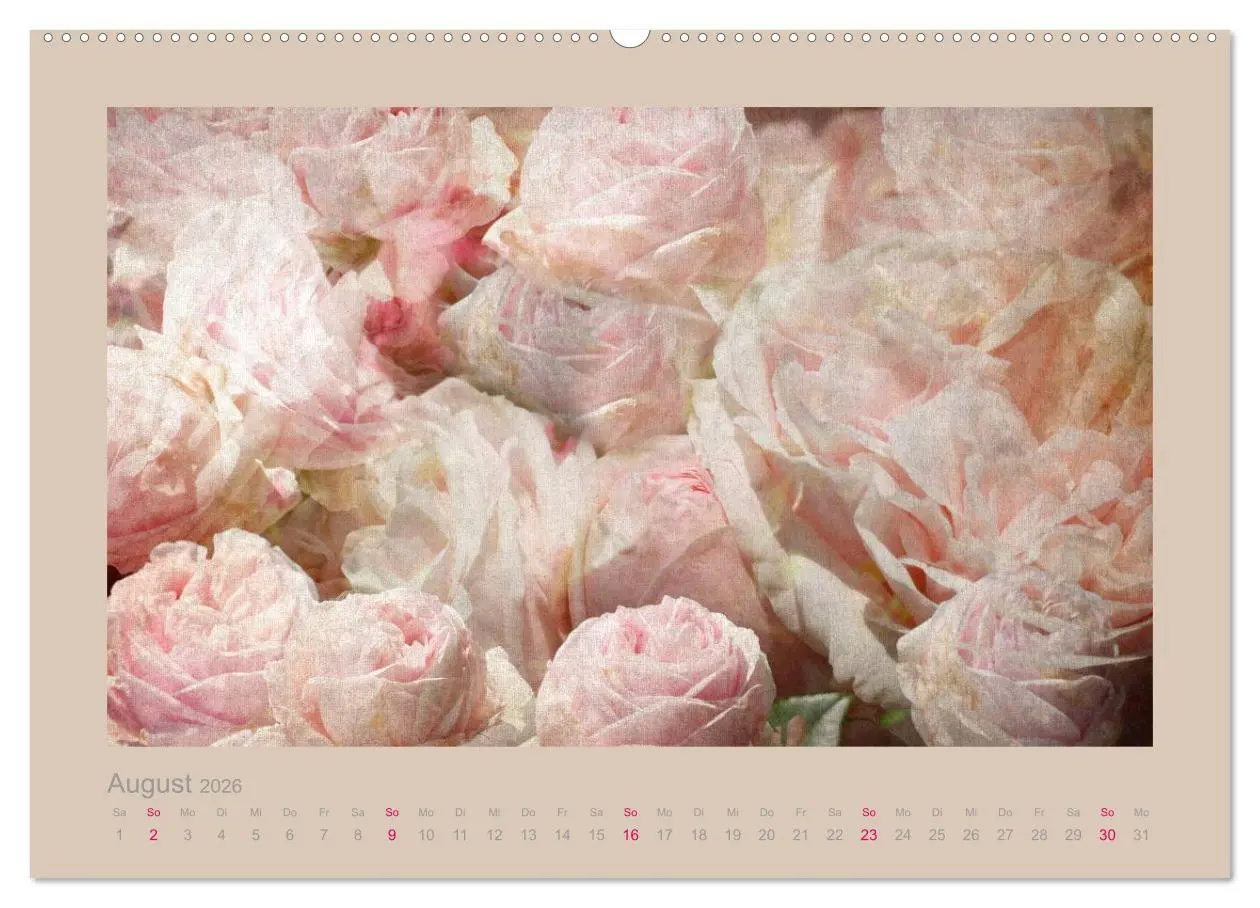 Bild: 9783516144147 | Romantische Rosen (Wandkalender 2026 DIN A2 quer), CALVENDO...