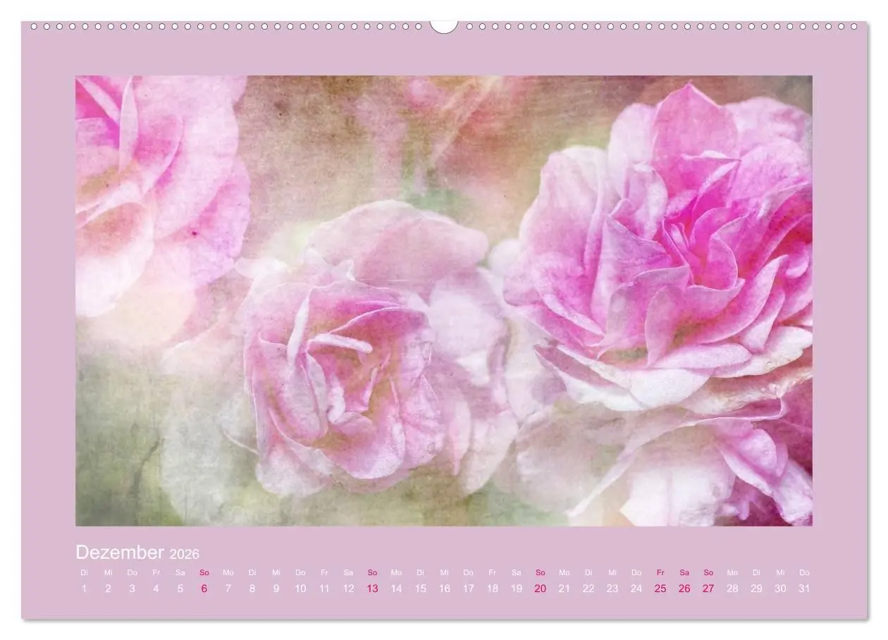 Bild: 9783516144147 | Romantische Rosen (Wandkalender 2026 DIN A2 quer), CALVENDO...