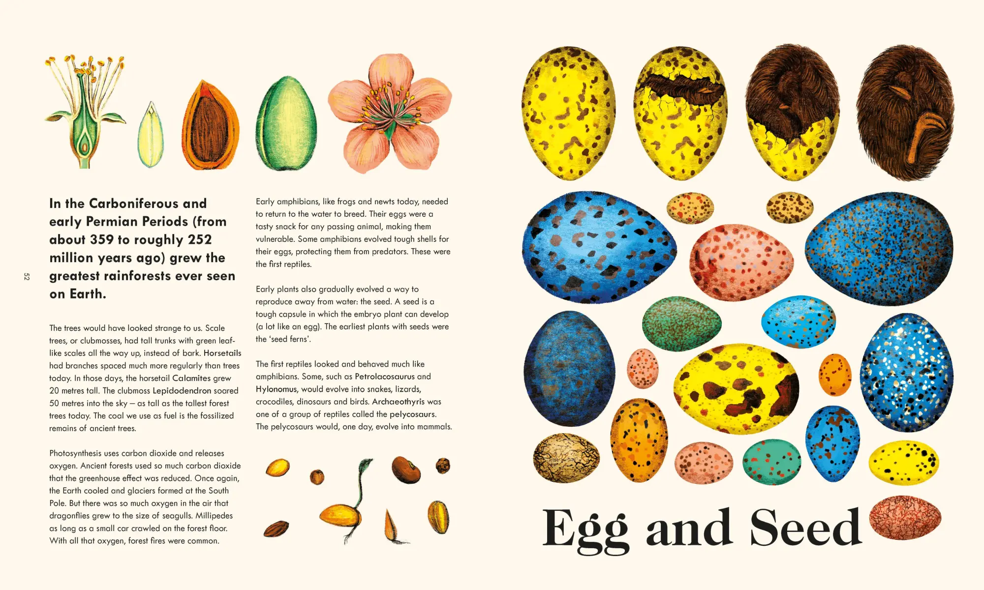 Bild: 9781035024247 | The Wonder of Life on Earth | Henry Gee | Buch | Englisch | 2026