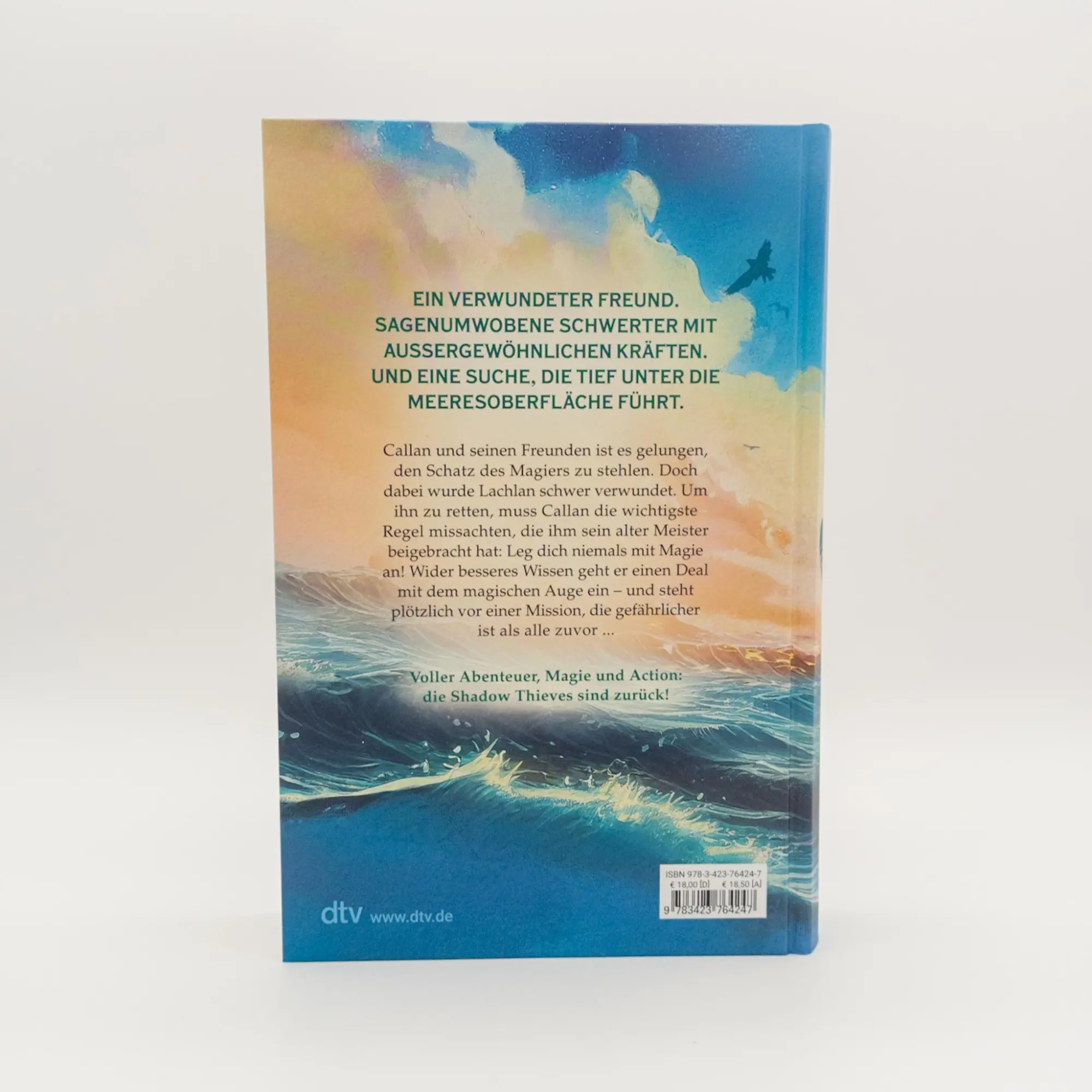 Bild: 9783423764247 | Shadow Thieves - Die Zwillingsschwerter | Kevin Sands | Buch | 400 S.