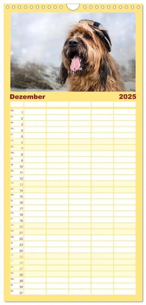 Bild: 9783457114247 | Familienplaner 2025 - Der Briard - Ein echter Charmeur mit 5...
