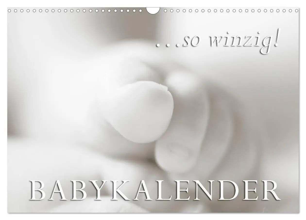 Cover: 9783516134247 | ...so winzig - Babykalender (Wandkalender 2026 DIN A3 quer),...