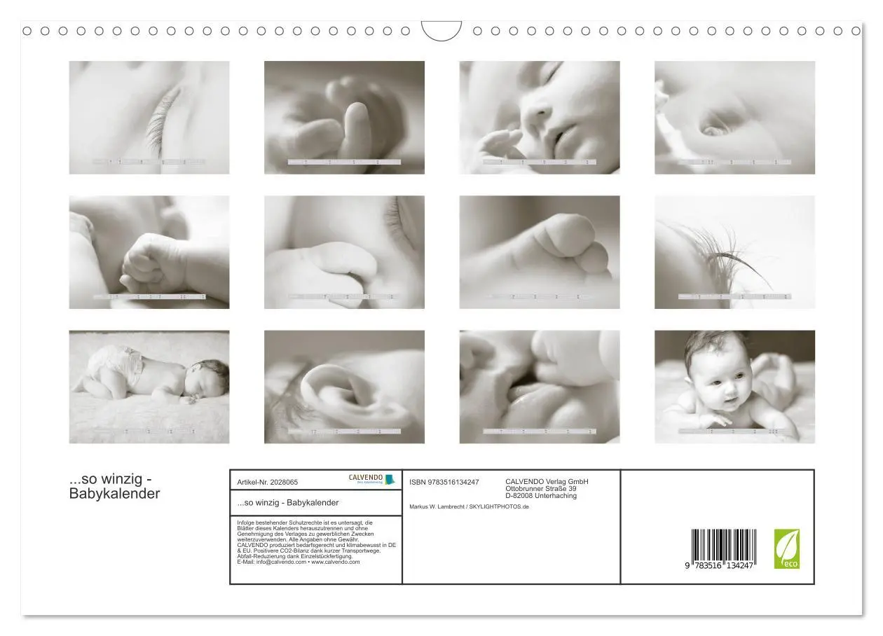 Bild: 9783516134247 | ...so winzig - Babykalender (Wandkalender 2026 DIN A3 quer),...