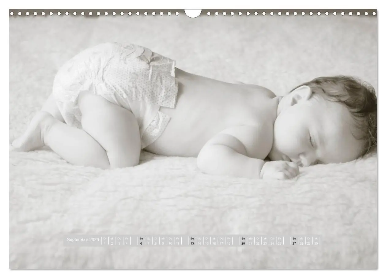 Bild: 9783516134247 | ...so winzig - Babykalender (Wandkalender 2026 DIN A3 quer),...