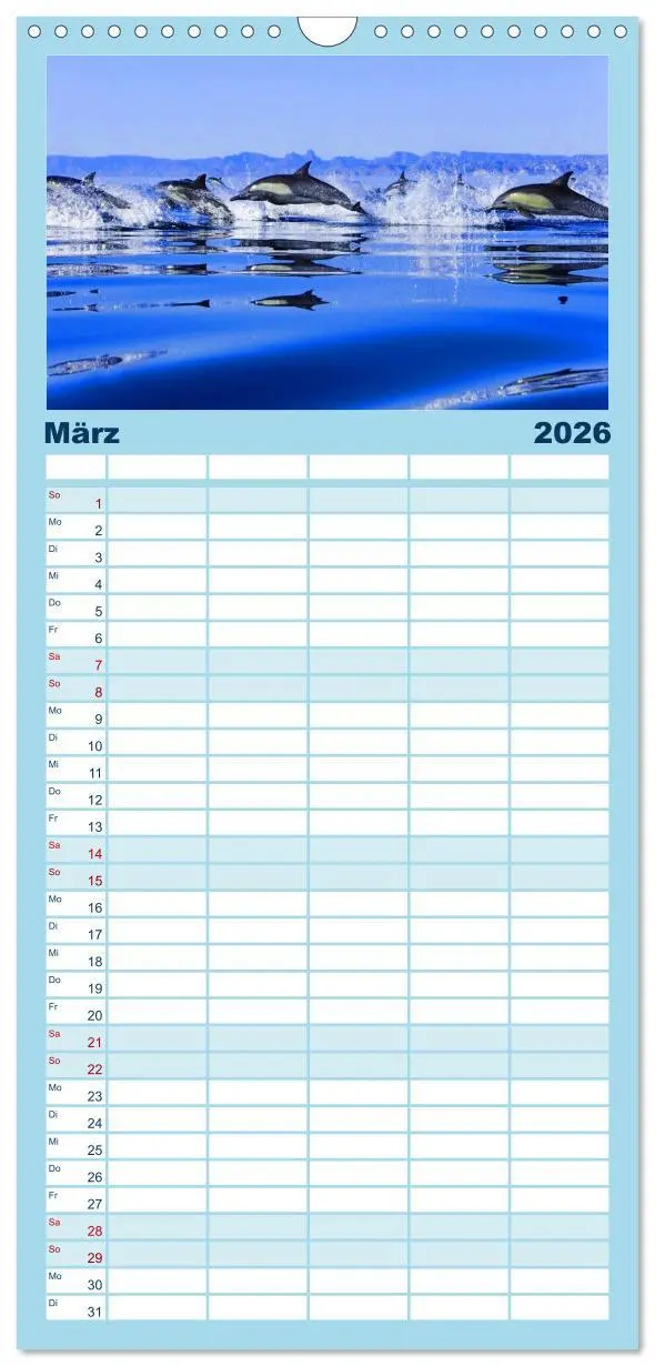 Bild: 9783516514247 | Familienplaner 2026 - Delfine - Lächelnde Intelligenz mit 5 Spalten...