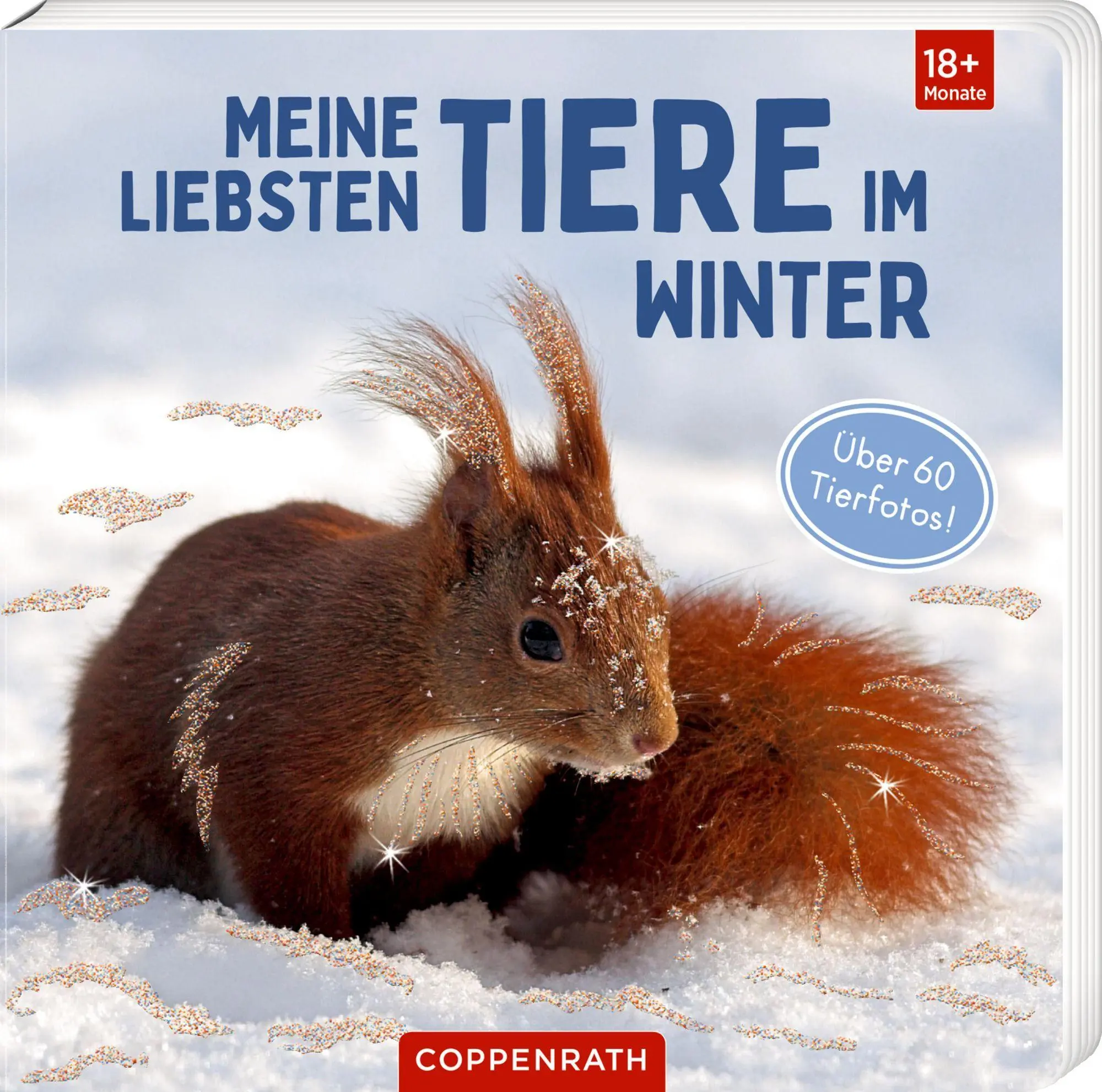 Cover: 9783649654247 | Meine liebsten Tiere im Winter | Buch | 24 S. | Deutsch | 2026