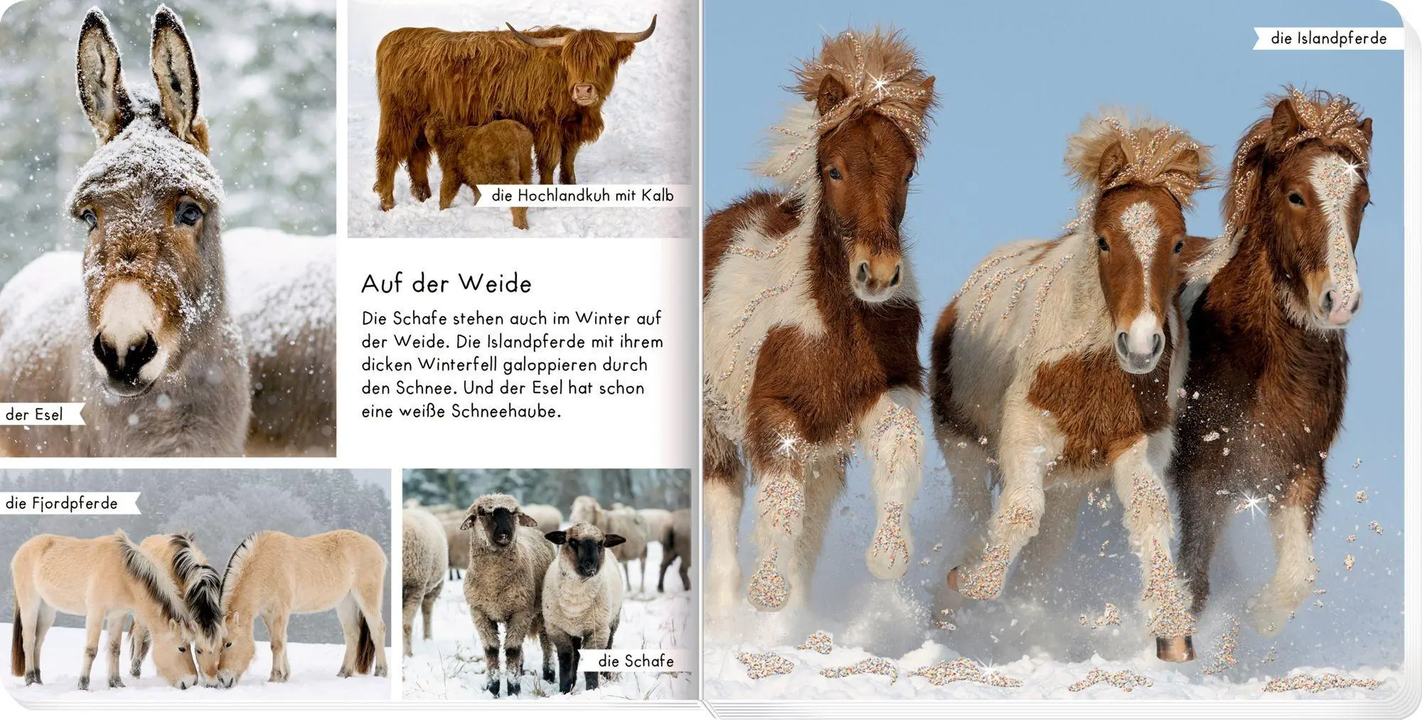 Bild: 9783649654247 | Meine liebsten Tiere im Winter | Buch | 24 S. | Deutsch | 2026