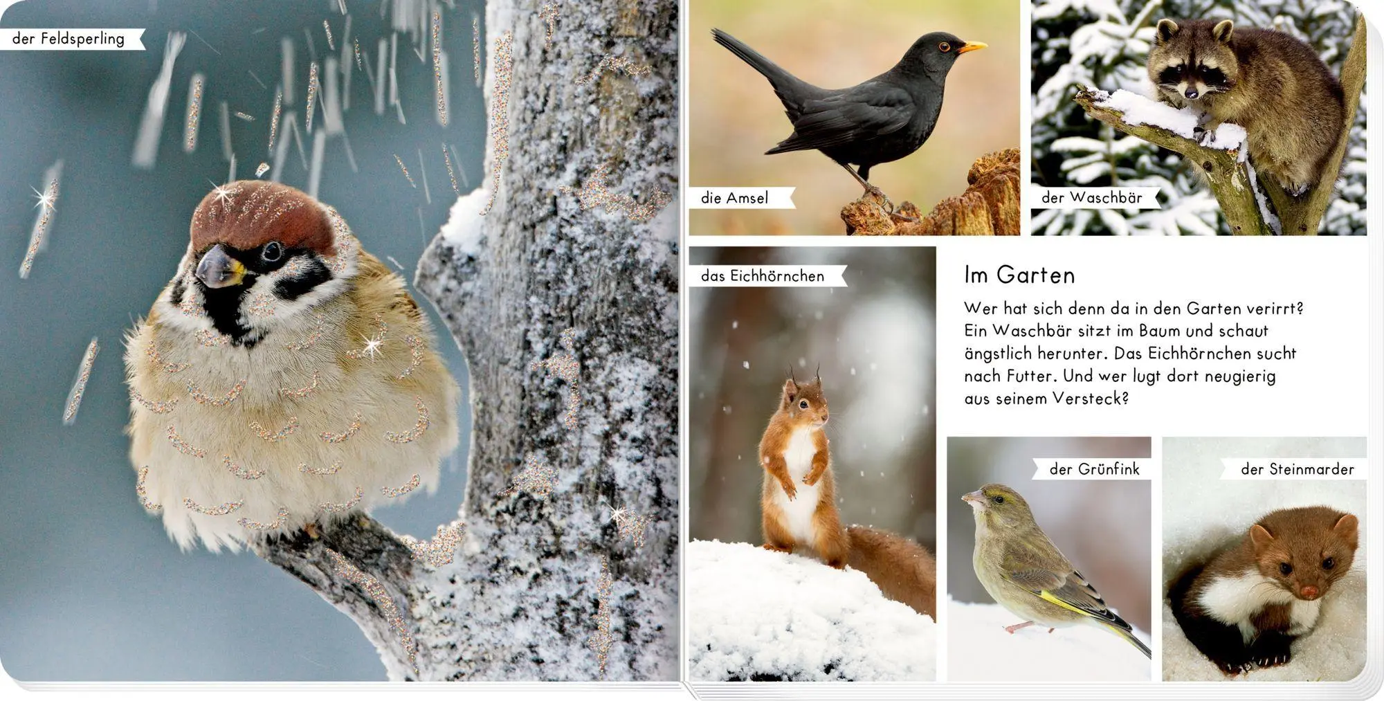 Bild: 9783649654247 | Meine liebsten Tiere im Winter | Buch | 24 S. | Deutsch | 2026