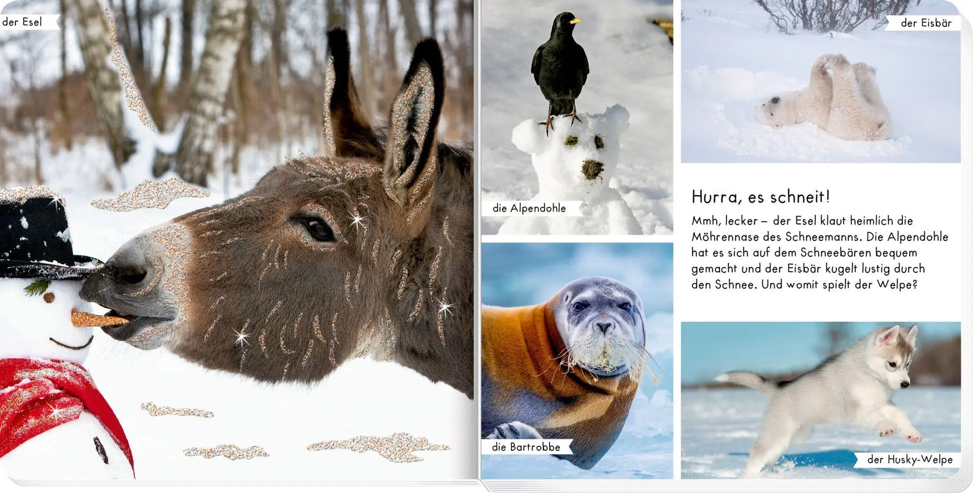 Bild: 9783649654247 | Meine liebsten Tiere im Winter | Buch | 24 S. | Deutsch | 2026