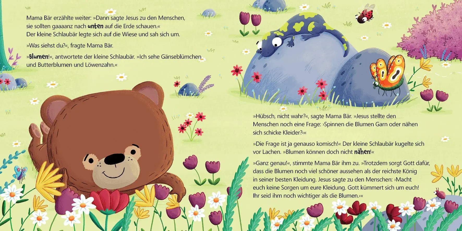 Bild: 9783963624247 | Der kleine Schlaubär macht sich Sorgen | Bob Hartman | Broschüre