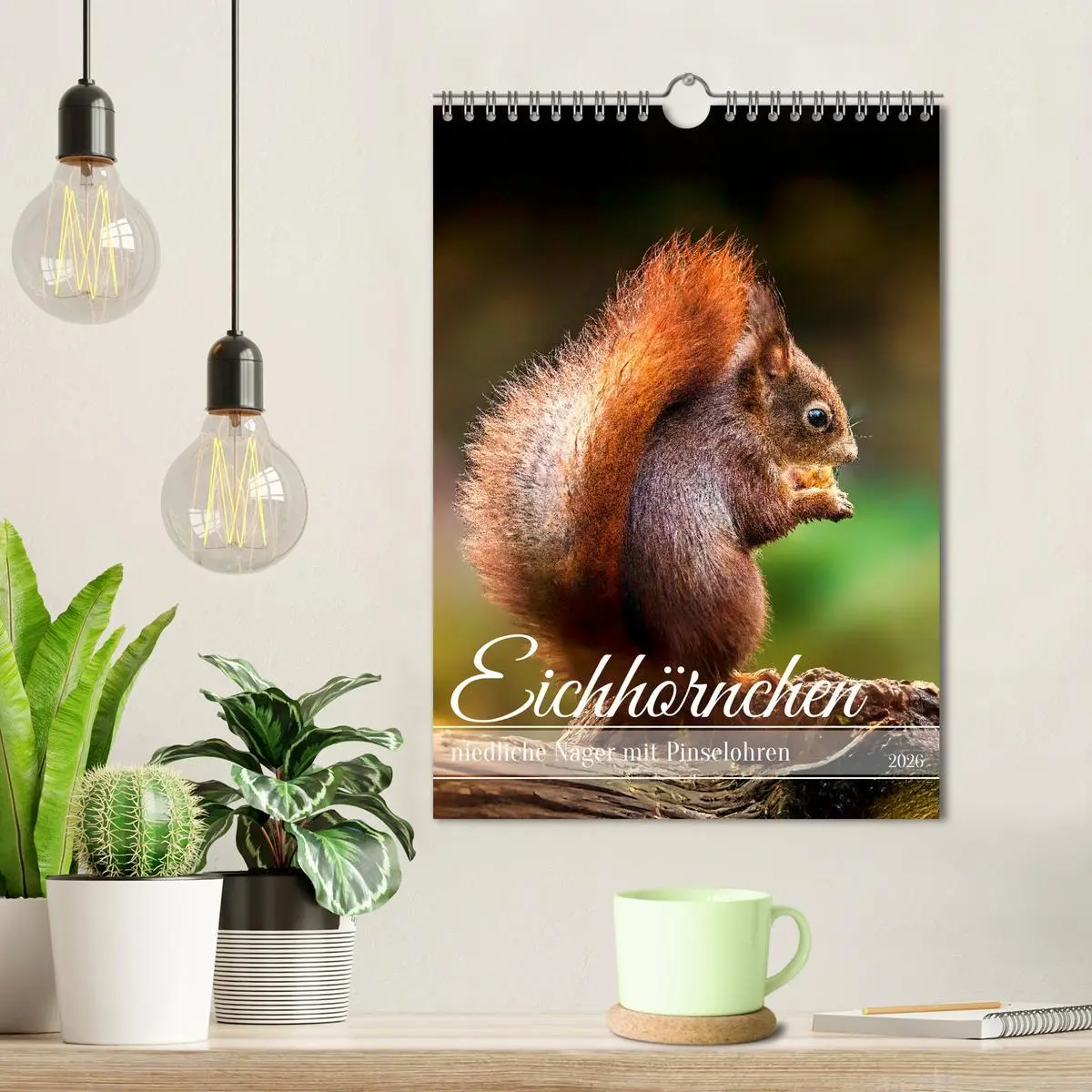 Bild: 9783457274347 | Niedlicher Nager - Das Eichhörnchen (Wandkalender 2026 DIN A4...
