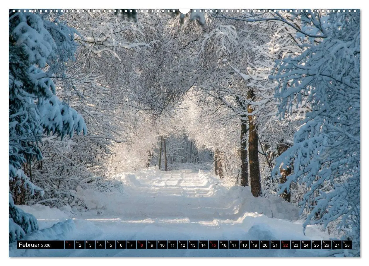 Bild: 9783516054347 | Worpswede - Künstlerdorf unter weitem Himmel (Wandkalender 2026 DIN...
