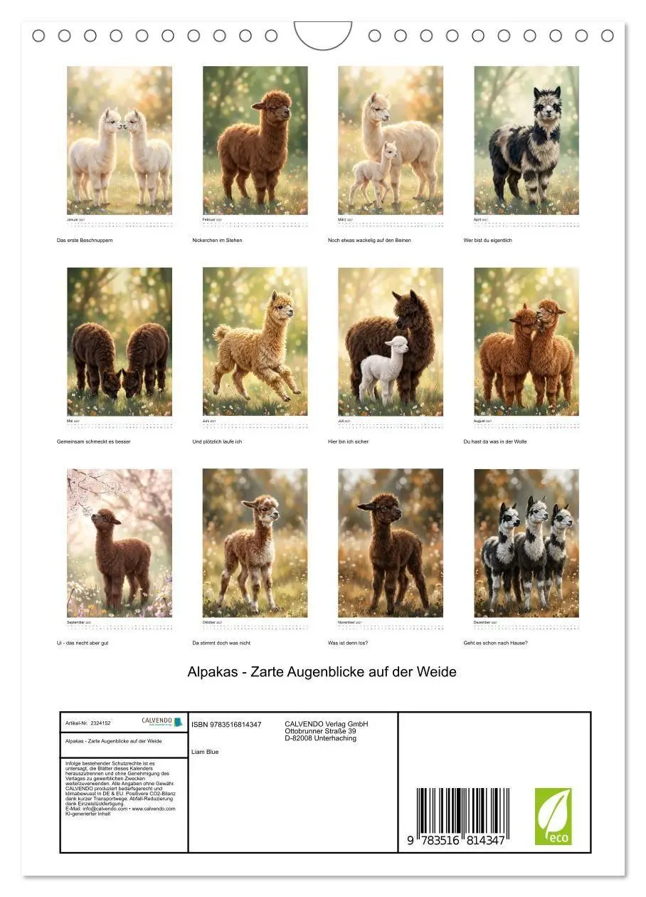 Bild: 9783516814347 | Alpakas - Zarte Augenblicke auf der Weide (Wandkalender 2027 DIN A4...