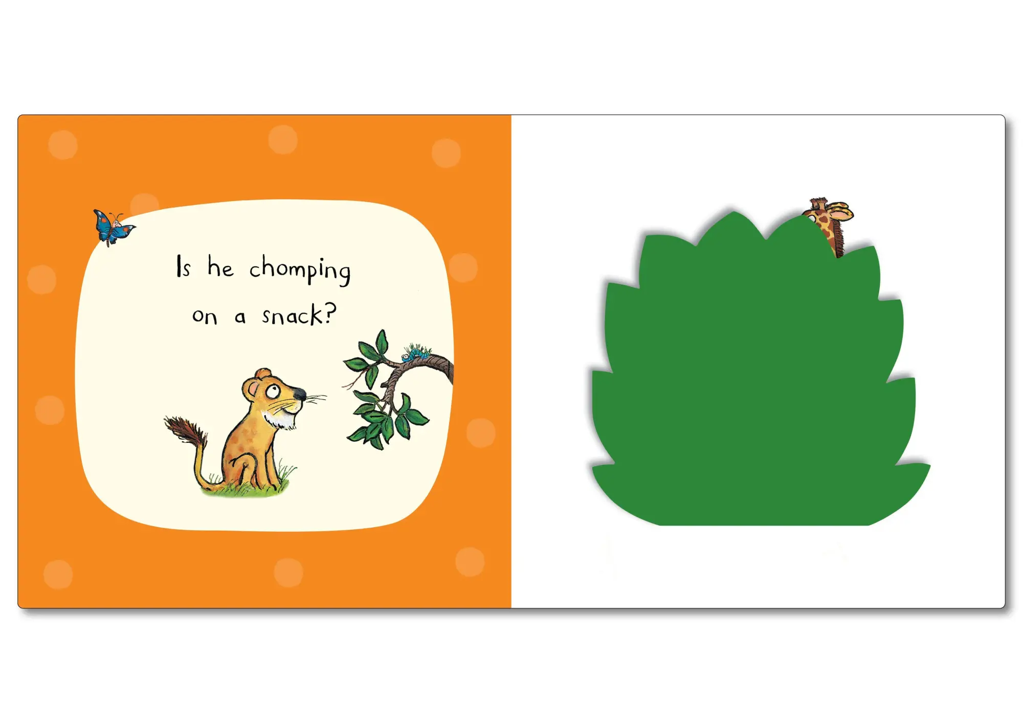 Bild: 9781035004447 | Who's Hiding On Safari? | A Felt Flaps Book | Campbell Books | Buch