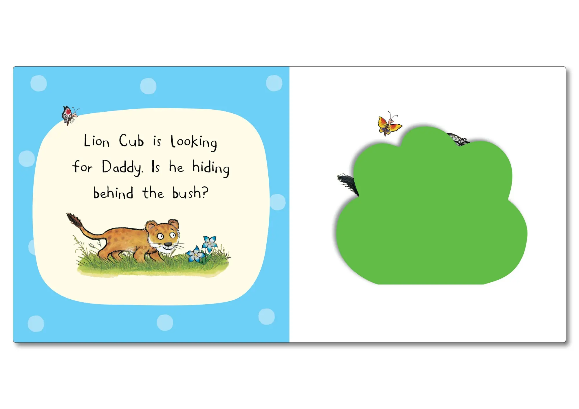 Bild: 9781035004447 | Who's Hiding On Safari? | A Felt Flaps Book | Campbell Books | Buch