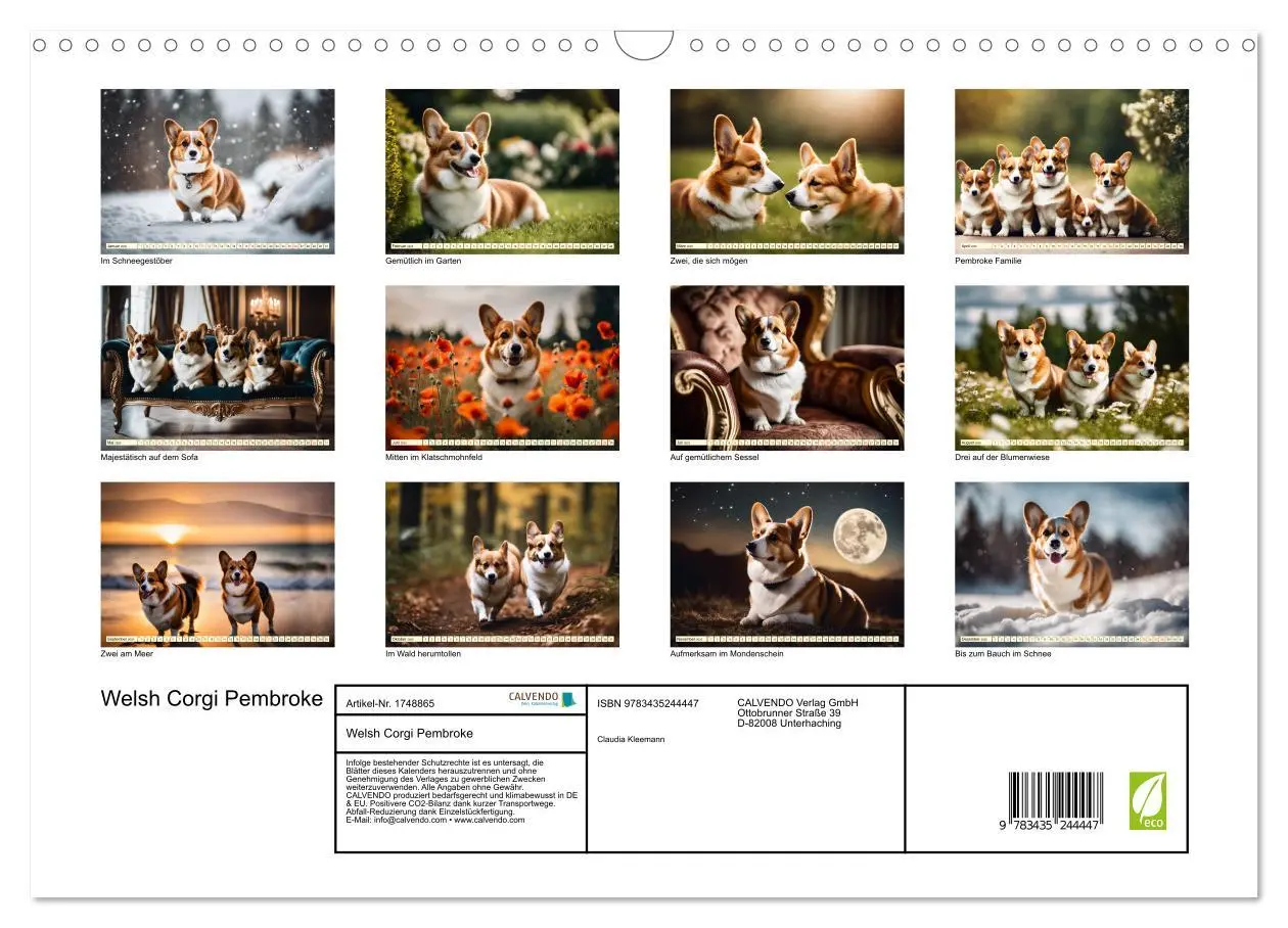 Bild: 9783435244447 | Welsh Corgi Pembroke (Wandkalender 2025 DIN A3 quer), CALVENDO...