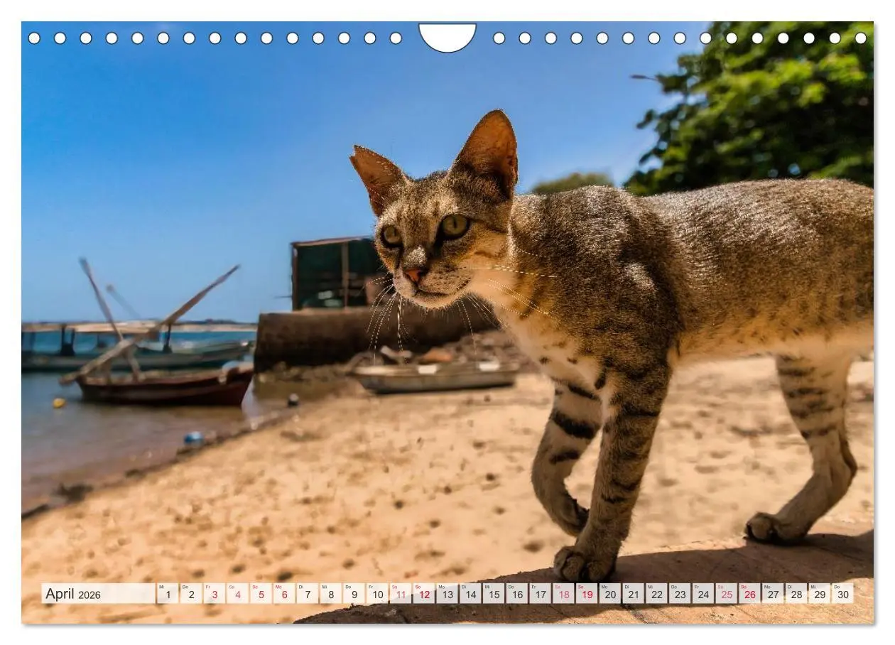 Bild: 9783457574447 | lamu - eintauchen in eine andere Welt vor der Küste Kenias...