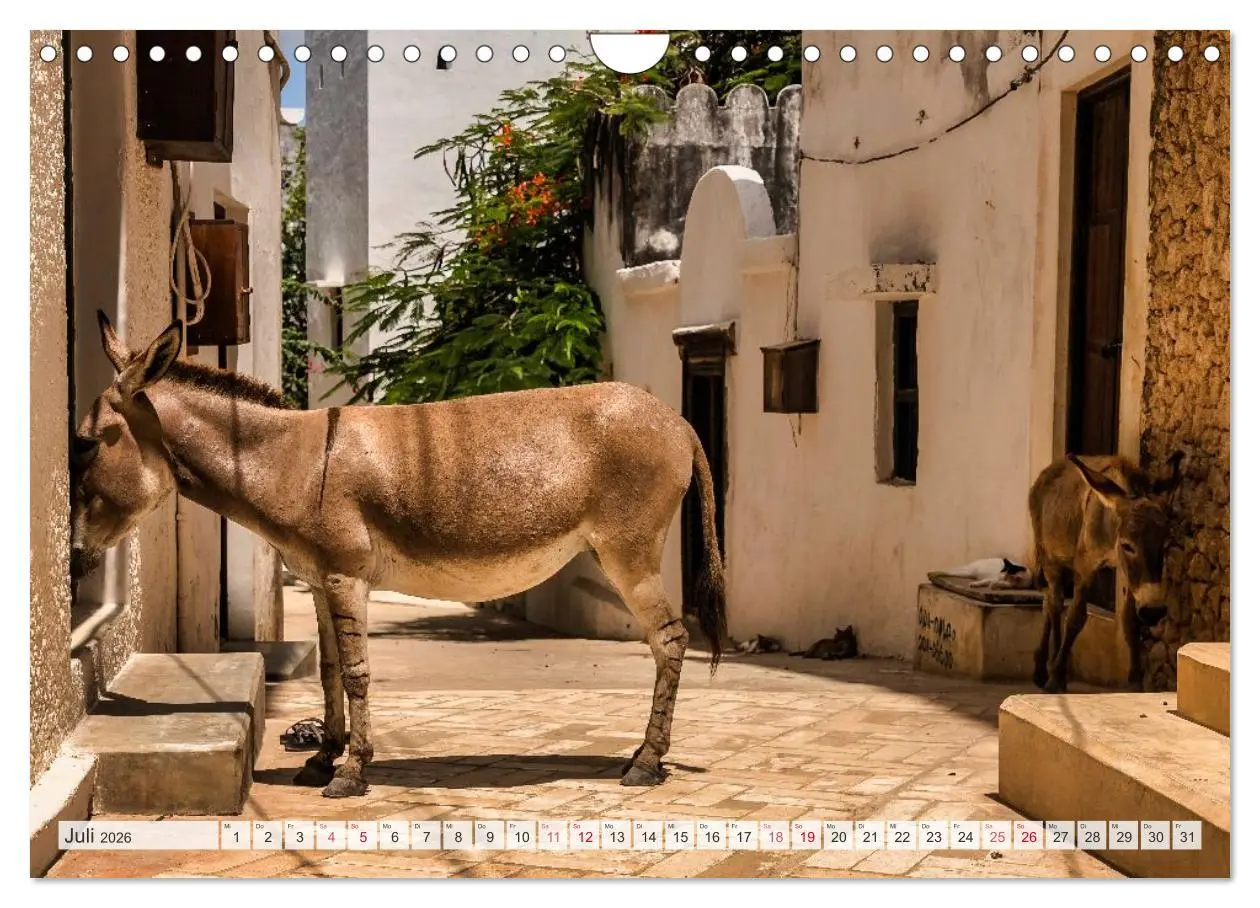 Bild: 9783457574447 | lamu - eintauchen in eine andere Welt vor der Küste Kenias...