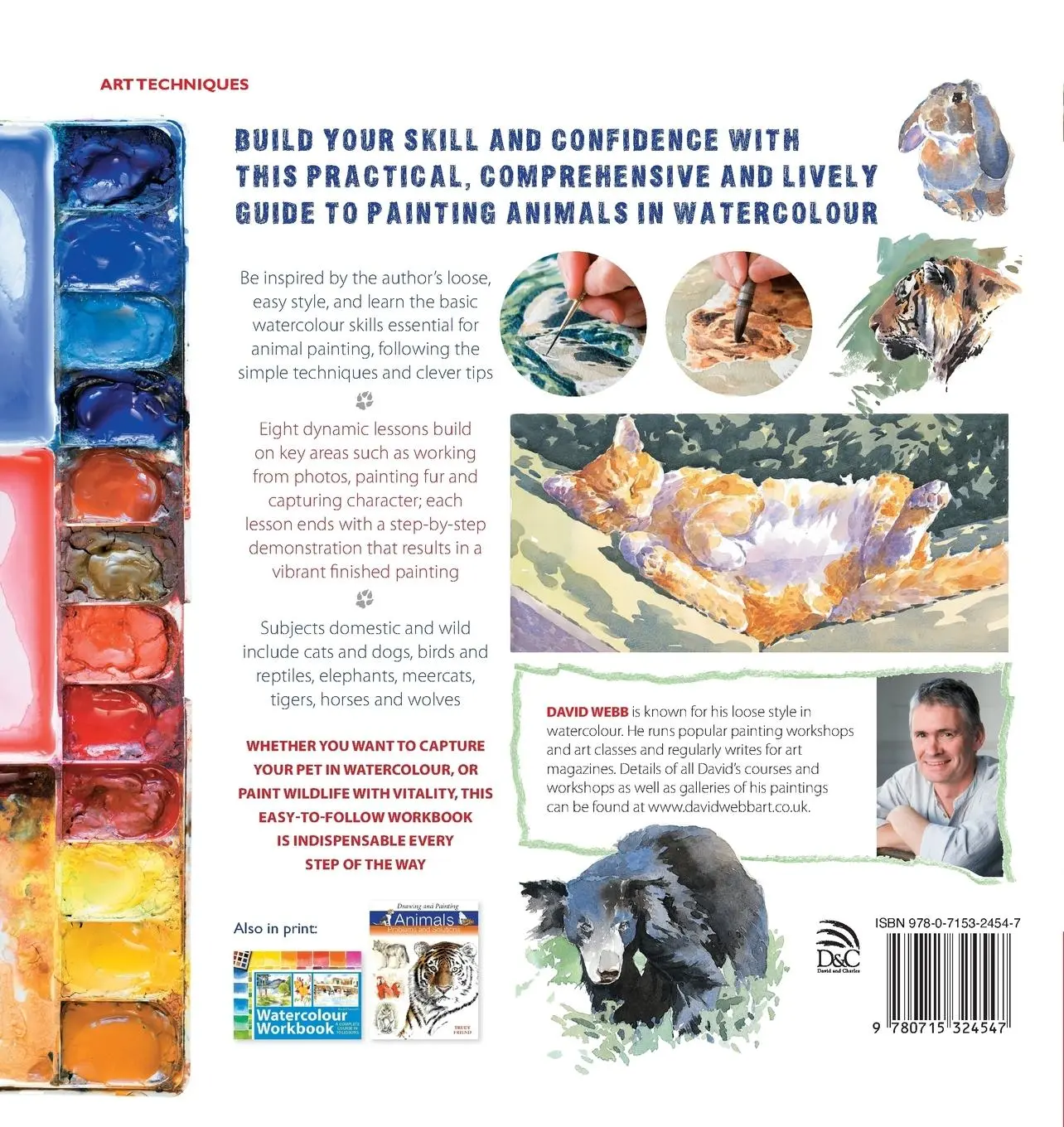 Rückseite: 9780715324547 | Animal Painting Workbook | David Webb | Taschenbuch | Englisch | 2007