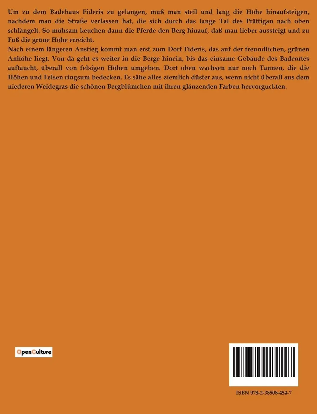 Rückseite: 9782385084547 | MONI DER GEISSBUB | Johanna Spyri | Taschenbuch | Paperback | 32 S.