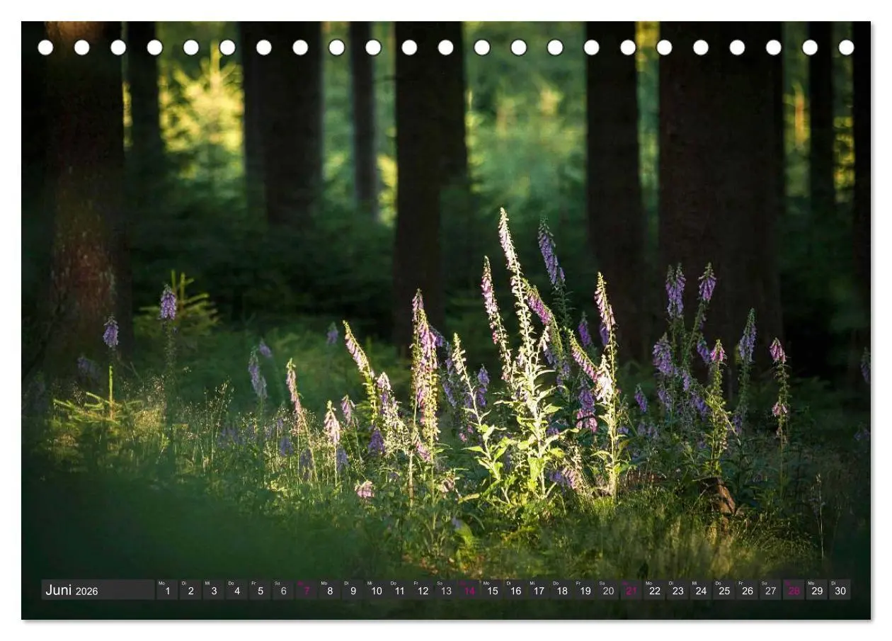 Bild: 9783516034547 | Unterwegs im Hunsrück (Tischkalender 2026 DIN A5 quer), CALVENDO...