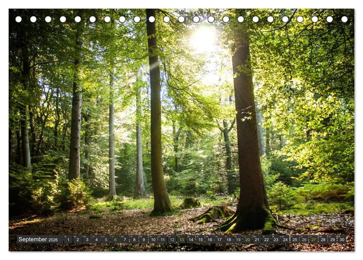Bild: 9783516034547 | Unterwegs im Hunsrück (Tischkalender 2026 DIN A5 quer), CALVENDO...