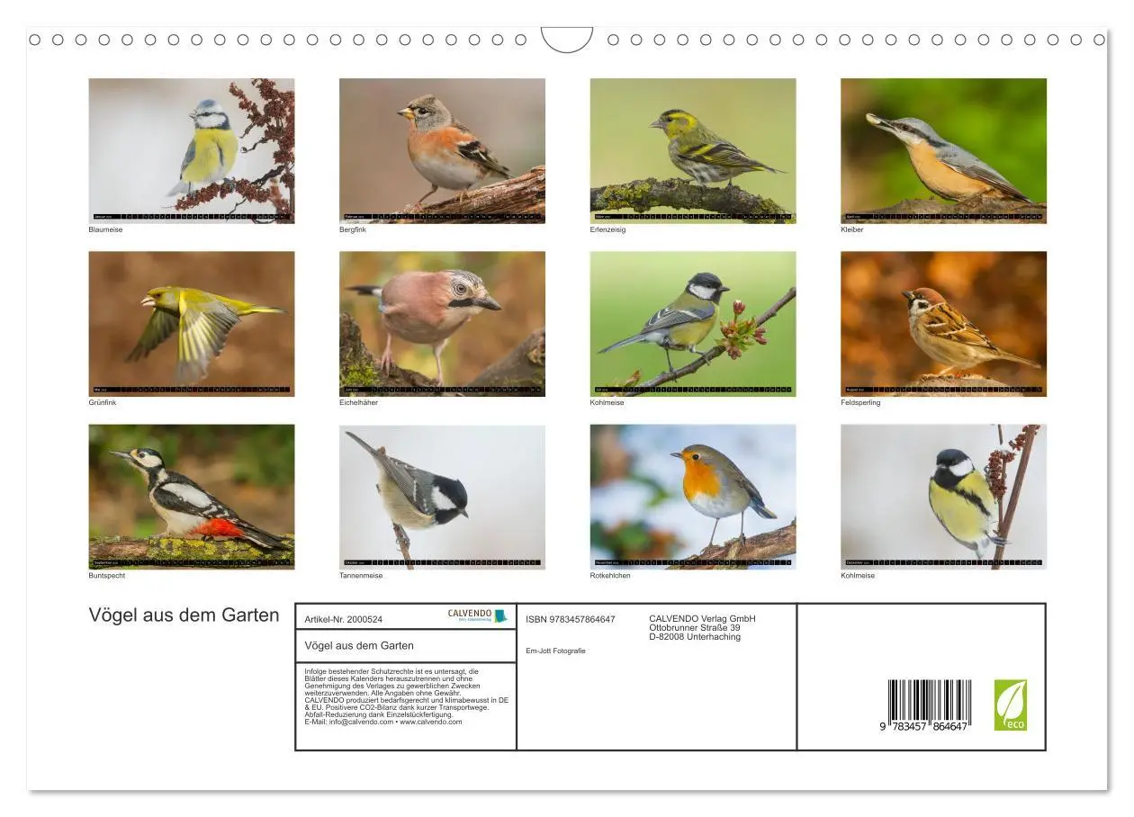 Bild: 9783457864647 | Vögel aus dem Garten (Wandkalender 2026 DIN A3 quer), CALVENDO...