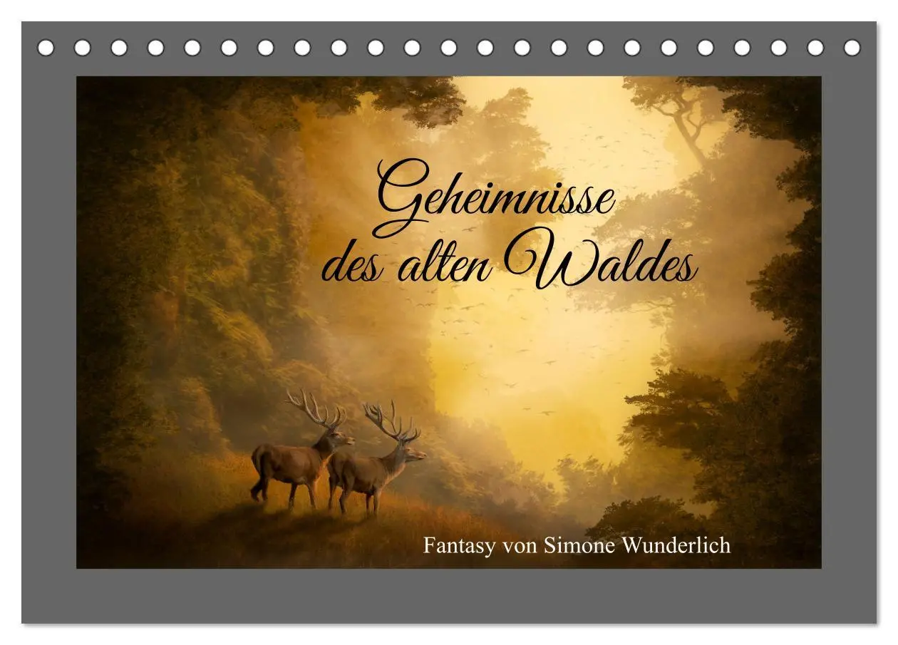 Cover: 9783457544747 | Geheimnisse des alten Waldes (Tischkalender 2026 DIN A5 quer),...